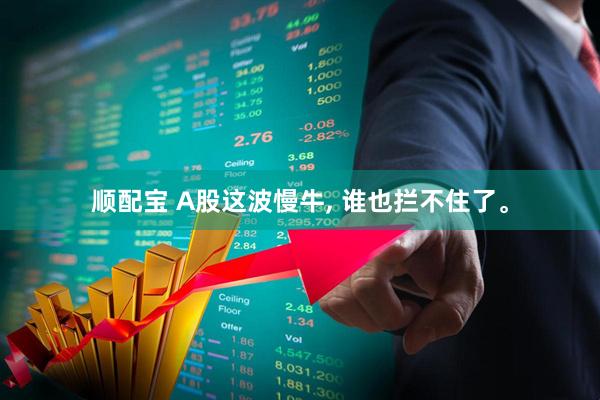 顺配宝 A股这波慢牛, 谁也拦不住了。