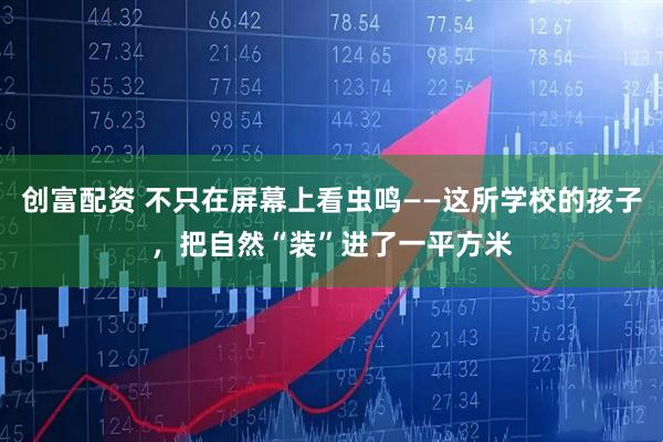 创富配资 不只在屏幕上看虫鸣——这所学校的孩子，把自然“装”进了一平方米