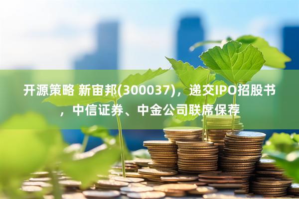 开源策略 新宙邦(300037)，递交IPO招股书，中信证券、中金公司联席保荐