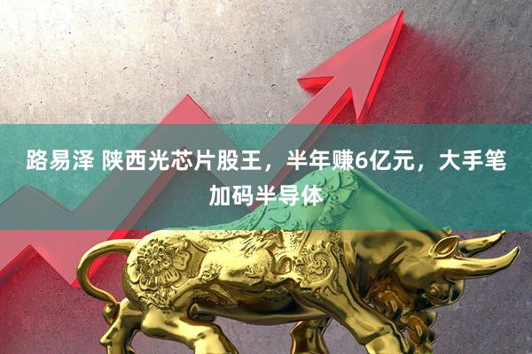 路易泽 陕西光芯片股王，半年赚6亿元，大手笔加码半导体