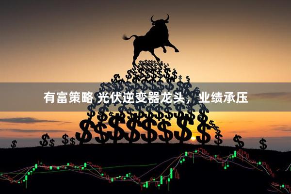 有富策略 光伏逆变器龙头，业绩承压
